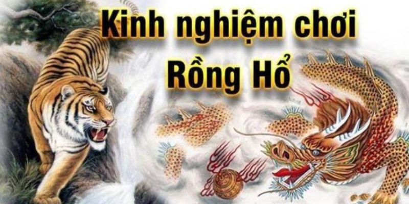 Nắm bắt cách đặt cược Rồng Hổ 99 tại 789Club